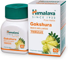 Gokshura (Tribulus) – Men’s Wellness Tablets (120 Tablets)